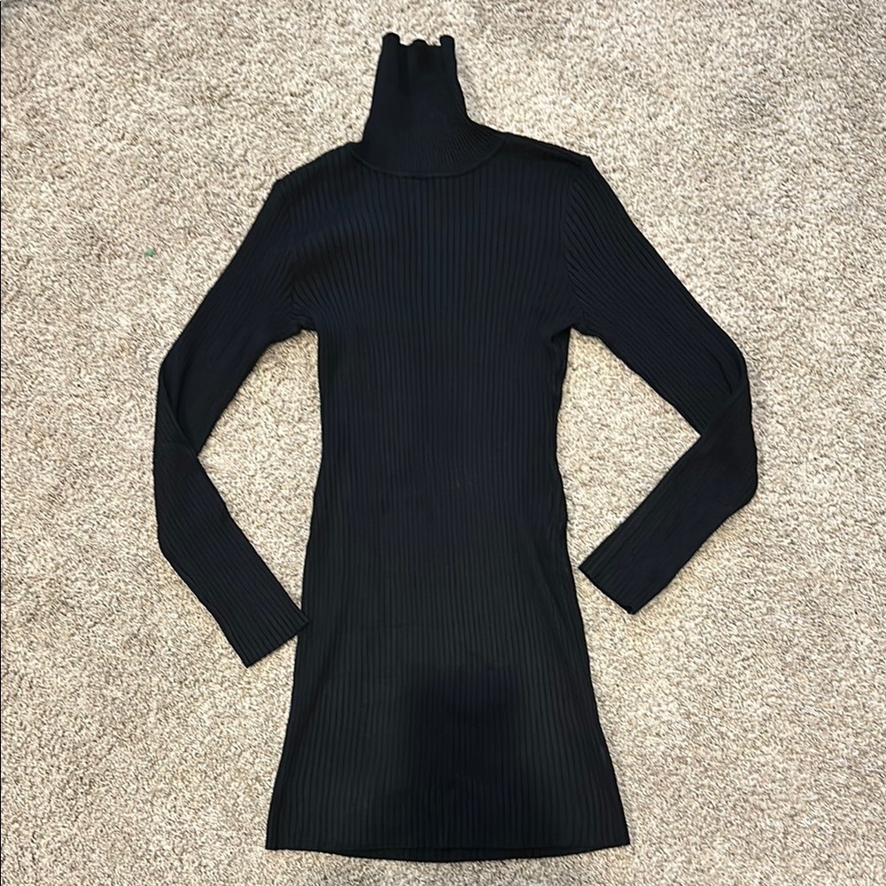 Target Wild Fable Black Ribbed Turtle Neck Long Sleeve Sweater Dress